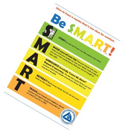 S.M.A.R.T. card
