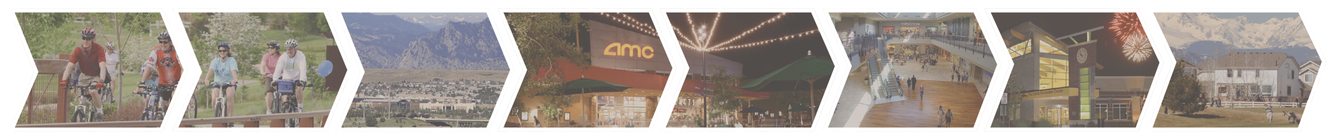 data dashboard tags_header.png