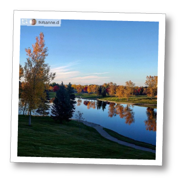 We Are Broomfield Park