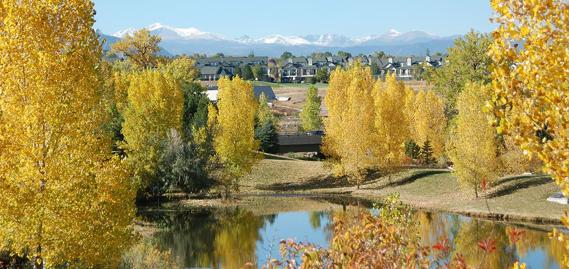 Yellow aspen trees framing mountains