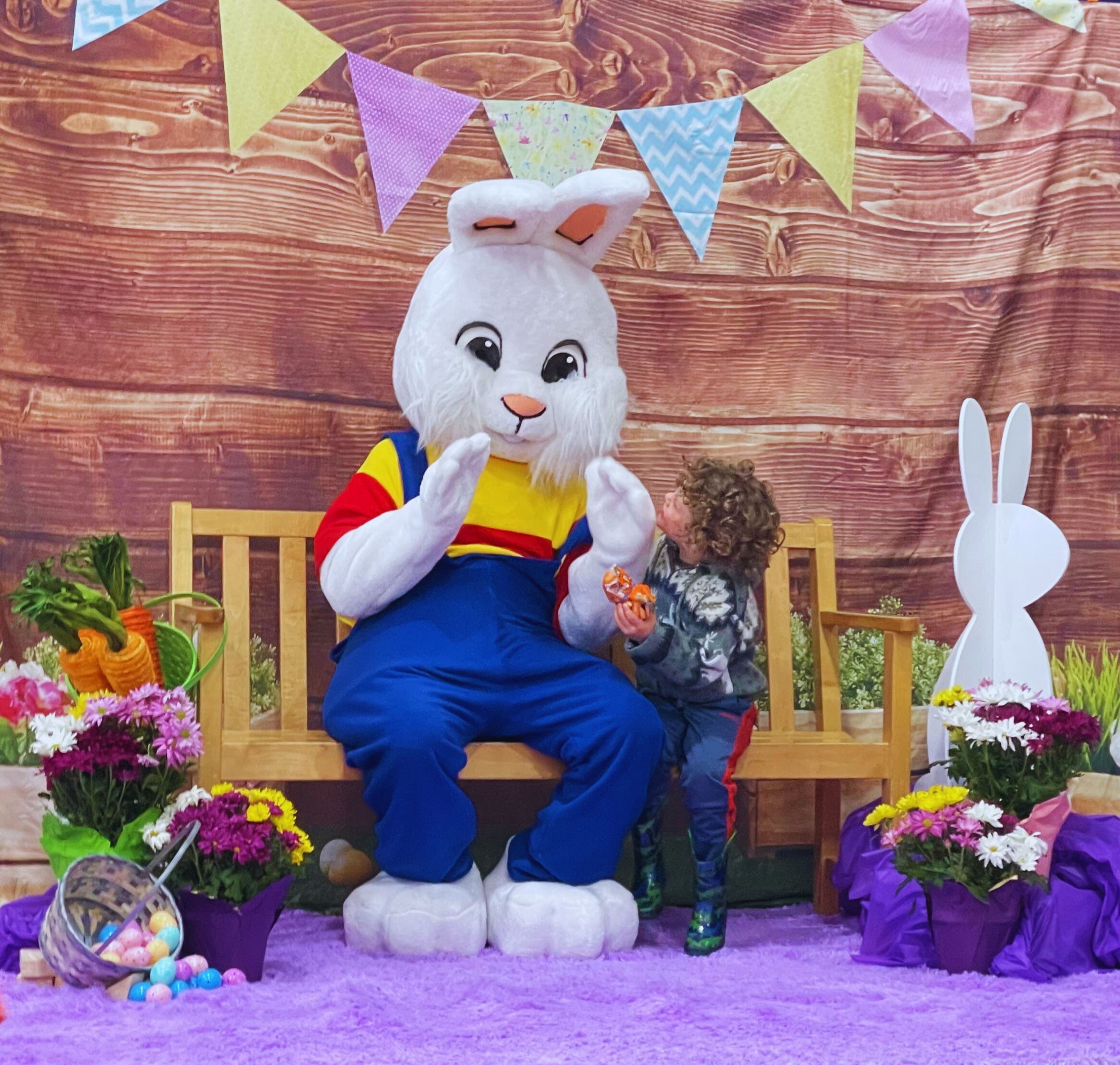 EasterBunny2025CroppedB (1)