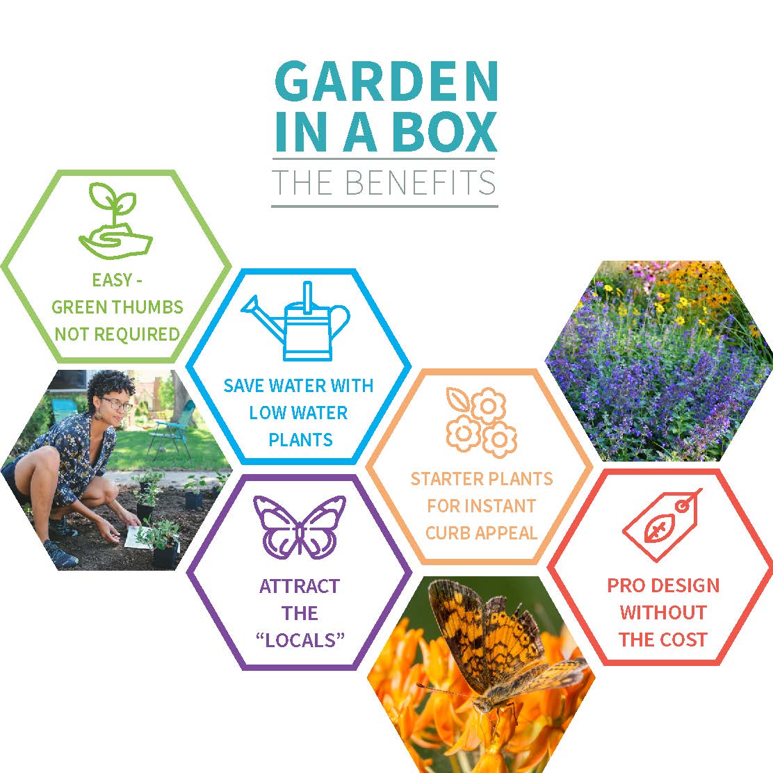 Garden In A Box Benefits Infographic