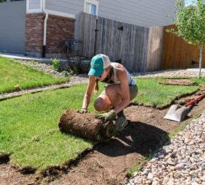 Lawn-Removal-12-1-scaled-e1608581745245-300x270