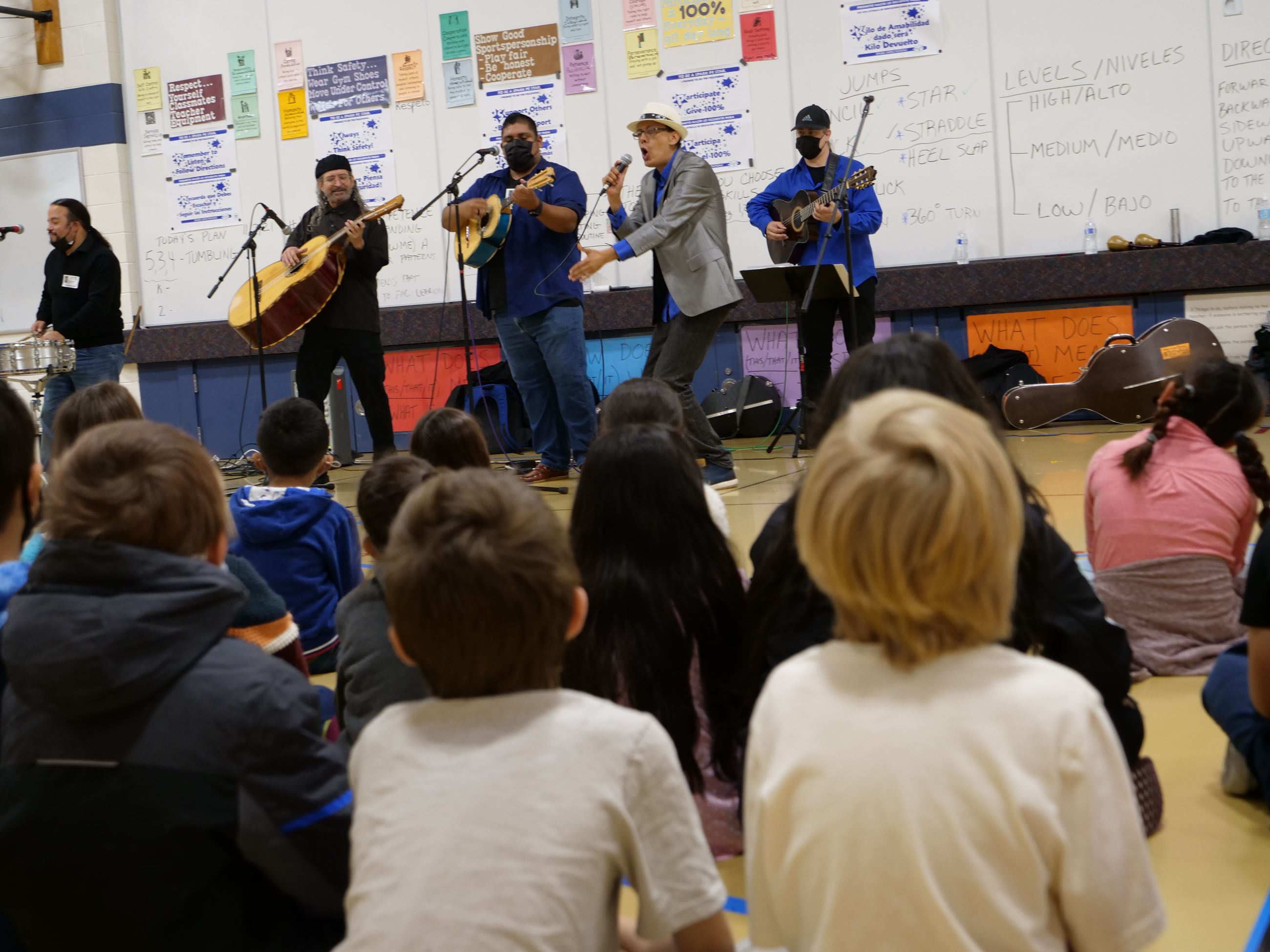 P1155120 Opens in new window