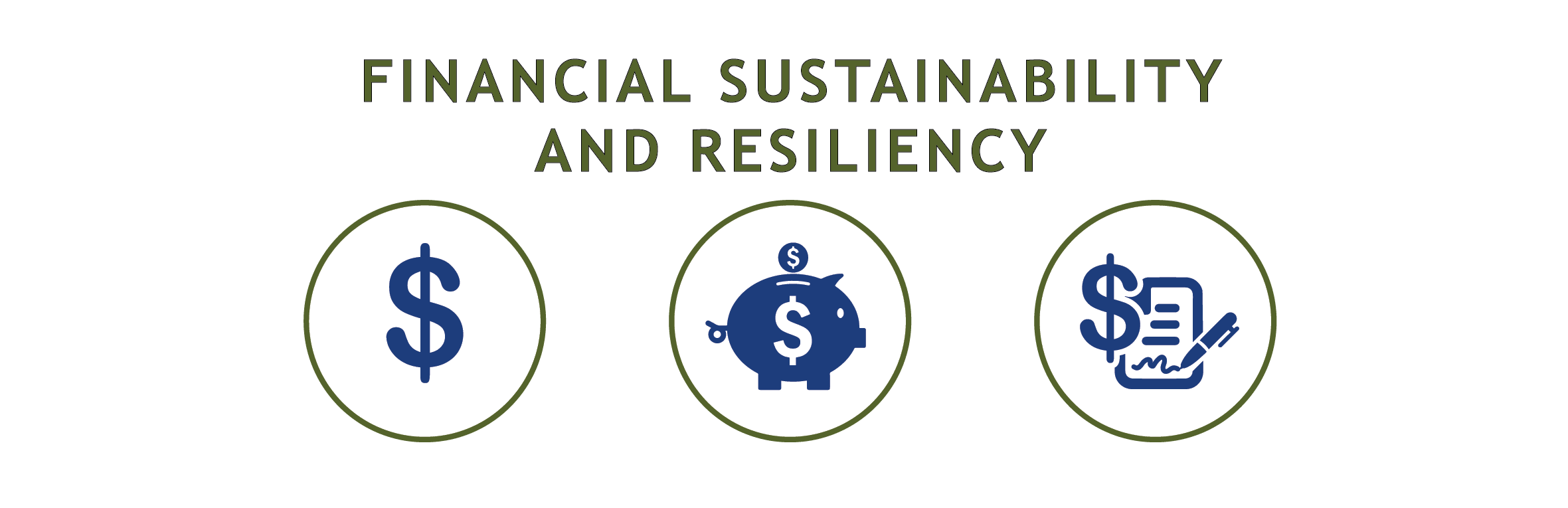 "Financial Sustainability and Resiliency" in text above graphics showing money.