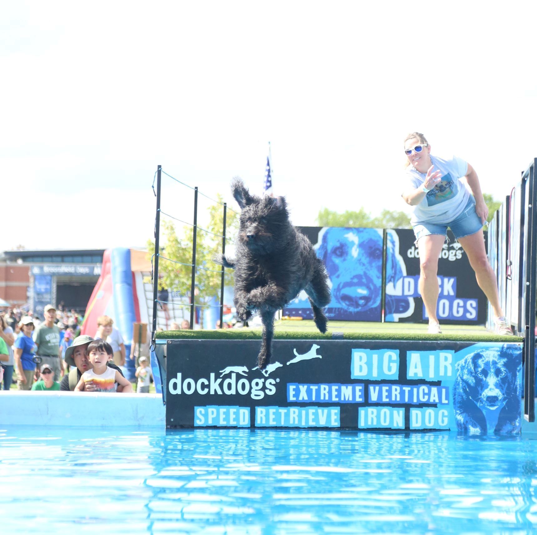Broomfield Days Bow Wow Dock Dogs picture