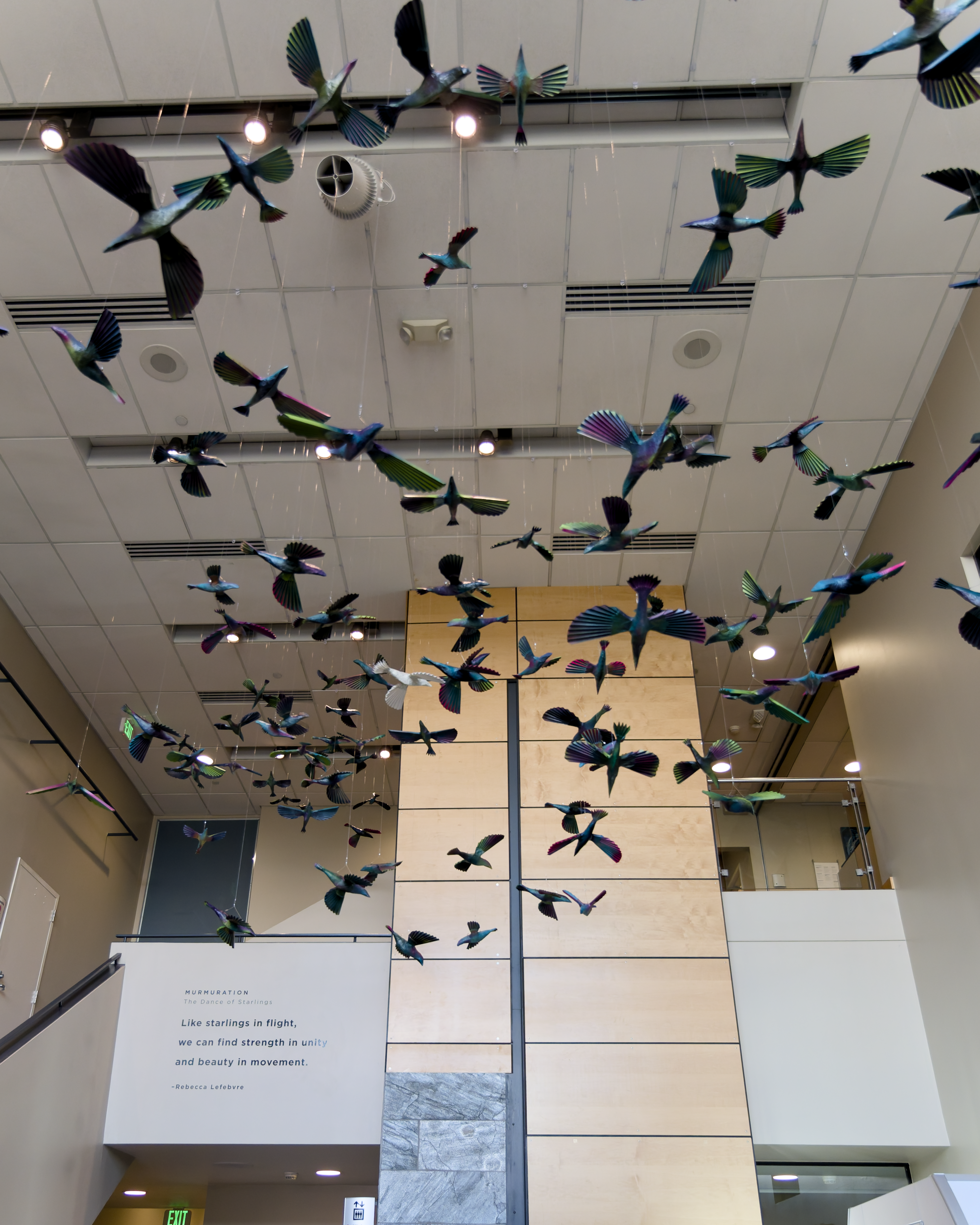 Photo of public art installation \"Murmurations\" feat paper mache birds hanging from the ceilin
